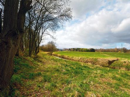 Pronájem - pozemek pro bydlení, 10 000 m²