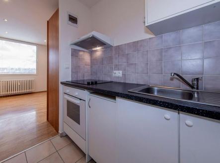 Pronájem bytu, 1+kk, 22 m²