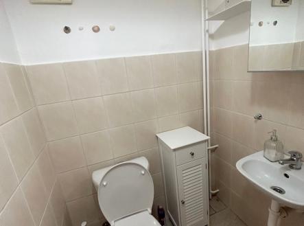 Pronájem bytu, 1+1, 28 m²