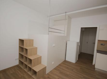 Pronájem bytu, 1+kk, 52 m²