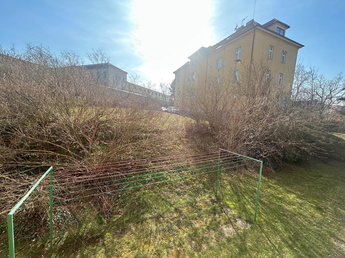 Fotku se nepodařilo načíst.