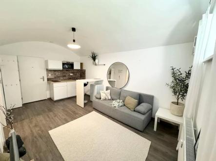 Pronájem bytu, 1+kk, 24 m²