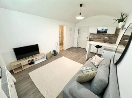 Pronájem bytu, 1+kk, 24 m²