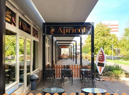 Pronájem obchodní prostor, 74 m²