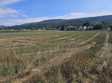 Prodej pozemku pro bydlení, 6 301 m²