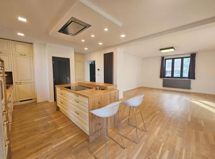 Pronájem domu/vily, 243 m²