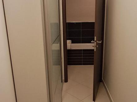 Pronájem bytu, 1+kk, 31 m²