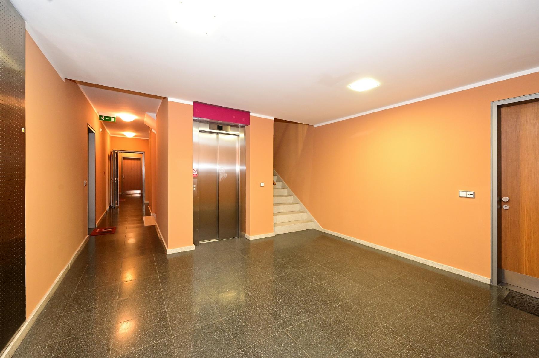 Fotku se nepodařilo načíst.