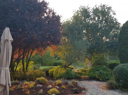 Pronájem domu/vily, 242 m²