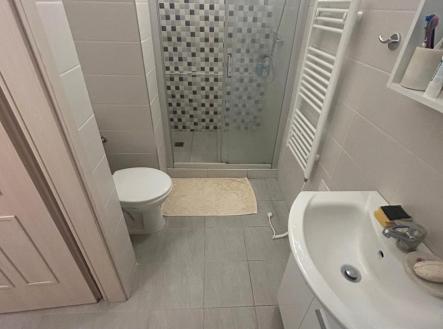 Pronájem bytu, 1+kk, 28 m²