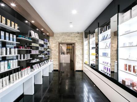 Pronájem obchodní prostor, 233 m²