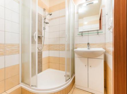 Pronájem bytu, 1+1, 38 m²