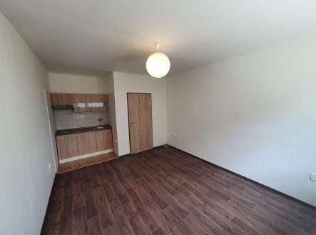 Prodej bytu, 1+kk, 24 m²