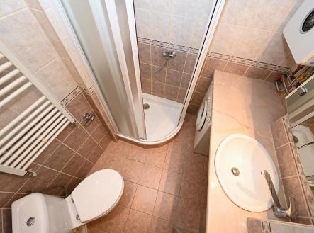 Pronájem bytu, 1+1, 42 m²