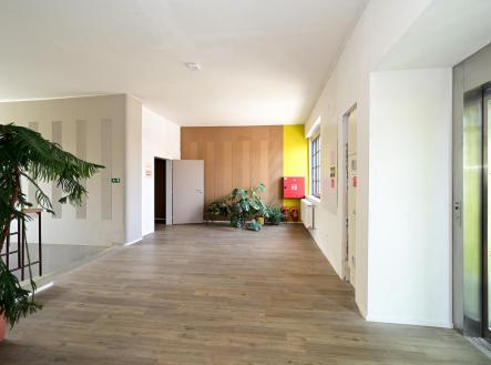 Pronájem komerčního objektu, jiný, 55,5 m²