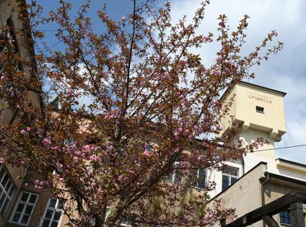 Pronájem komerčního objektu, jiný, 49,9 m² obrázek