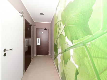 Pronájem komerčního objektu, jiný, 49,9 m²