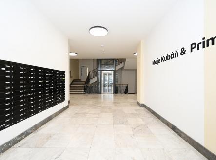 Pronájem bytu, 1+kk, 19 m²