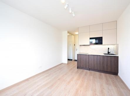 Pronájem bytu, 1+kk, 19 m²