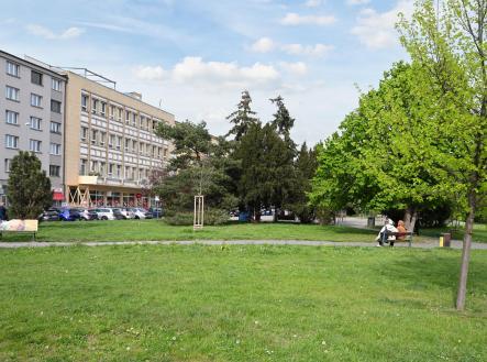 Pronájem bytu, 1+kk, 19 m²