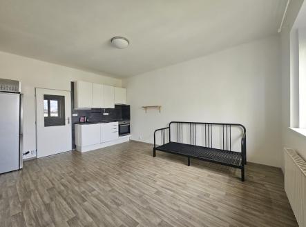 Pronájem bytu, 1+kk, 28 m²