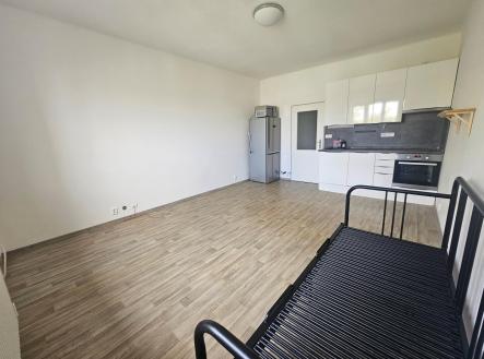 Pronájem bytu, 1+kk, 28 m²
