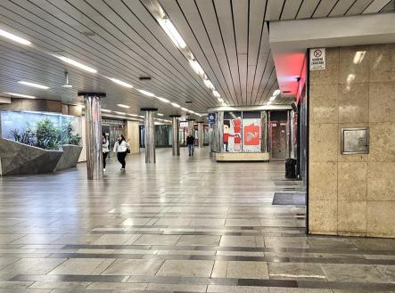 Pronájem obchodní prostory, 38 m²