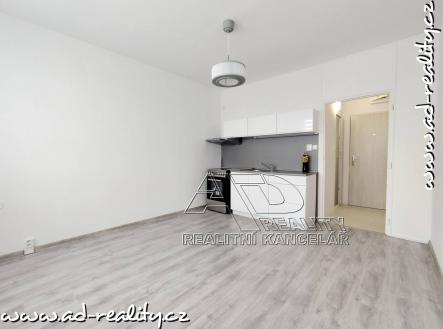 Pronájem bytu, 1+1, 39 m²