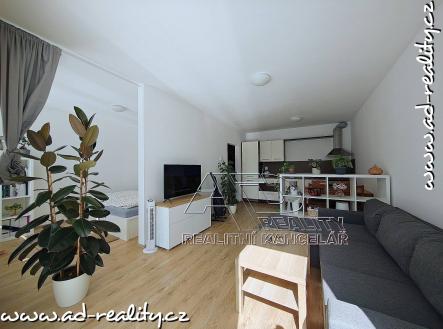 Pronájem bytu, 2+kk, 51 m²