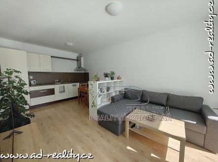 Pronájem bytu, 2+kk, 51 m²
