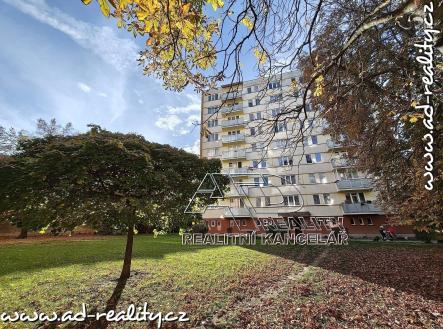 Prodej bytu, 3+1, 67 m²