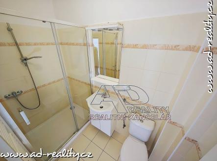 Pronájem bytu, 2+1, 72 m²