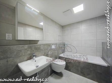 Pronájem bytu, 1+kk, 36 m²