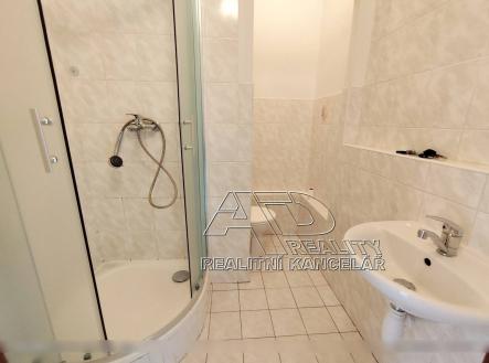 Pronájem bytu, 1+kk, 28 m²