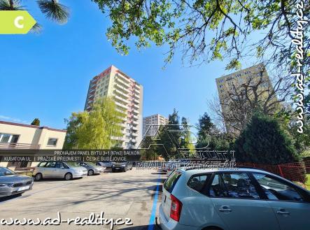 Pronájem bytu, 3+1, 67 m²