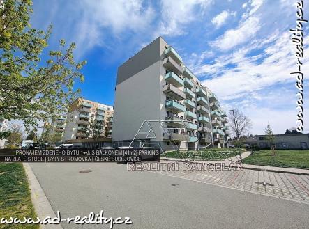 Pronájem bytu, 1+kk, 39 m²