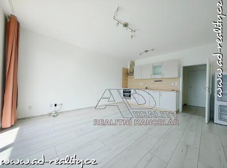 Pronájem bytu, 1+kk, 39 m²