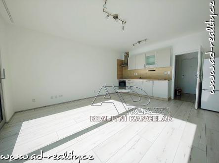Pronájem bytu, 1+kk, 39 m²