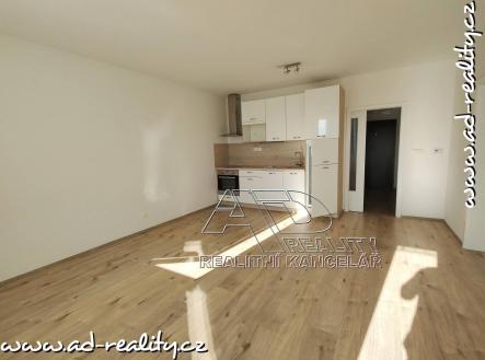 Pronájem bytu, 2+kk, 58 m²