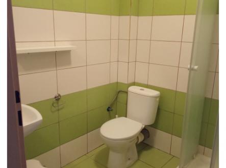 Nový byt 1kk k pronájmu, 20 m2, žel. st. Bojanovice, Praha hl n. 45 min vlakem, 6000 Kč plus popl.
