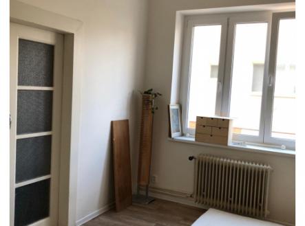 Útulný byt 3+1 se zahradou po rekonstrukci k pronájmu, Hanspaulka, 32.000 Kč plus energie 6000 Kč