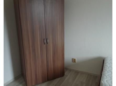 Nový byt 1kk k pronájmu, 20 m2, žel. st. Bojanovice, Praha hl n. 45 min vlakem, 6000 Kč plus popl.