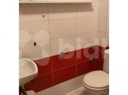 Nový byt 1kk k pronájmu, 20 m2, žel. st. Bojanovice, Praha hl n. 45 min vlakem, 6000 Kč plus popl.