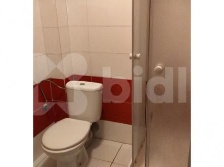 Nový byt 1kk k pronájmu, 20 m2, žel. st. Bojanovice, Praha hl n. 45 min vlakem, 6000 Kč plus popl.