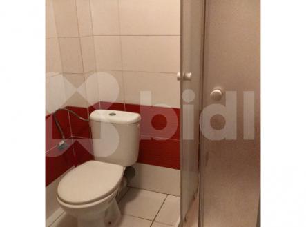 Nový byt 1kk k pronájmu, 20 m2, žel. st. Bojanovice, Praha hl n. 45 min vlakem, 6000 Kč plus popl.