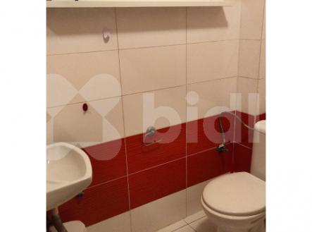 Nový byt 1kk k pronájmu, 20 m2, žel. st. Bojanovice, Praha hl n. 45 min vlakem, 6000 Kč plus popl.