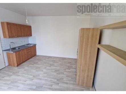 Byt 1kk po kompletní rekonstrukci k pronájmu, Holešovice, 16500 Kč plus poplatky 3500 Kč