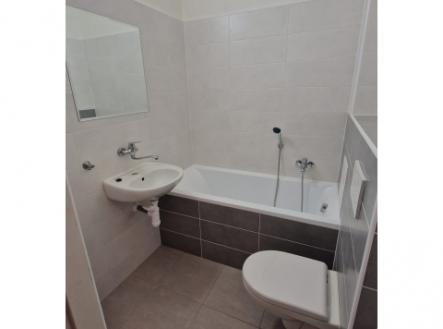Byt 1kk po kompletní rekonstrukci k pronájmu, Holešovice, 16500 Kč plus poplatky 3500 Kč
