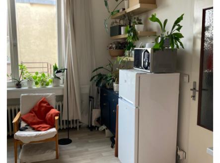 Byt 1kk po kompletní rekonstrukci k pronájmu, Holešovice, 16500 Kč plus poplatky 3500 Kč