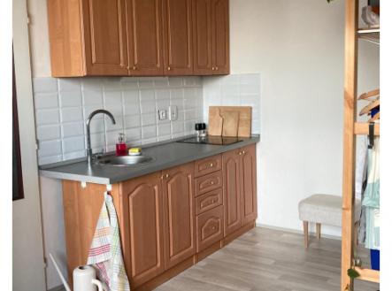Byt 1kk po kompletní rekonstrukci k pronájmu, Holešovice, 16500 Kč plus poplatky 3500 Kč